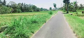 tanah strategis di ubud utara pinggir jalan