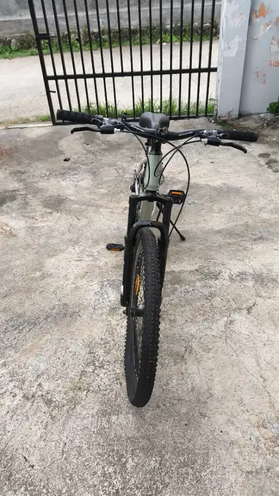 sepeda gunung dewasa dan anak remaja