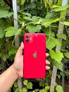 Iphone 11 64 Gb Inter