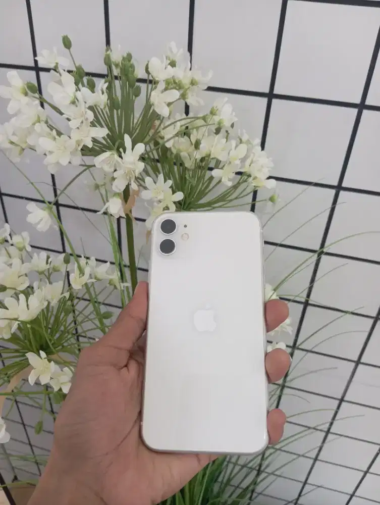 iPhone 11 64gb, inter all operator, fullset nominus