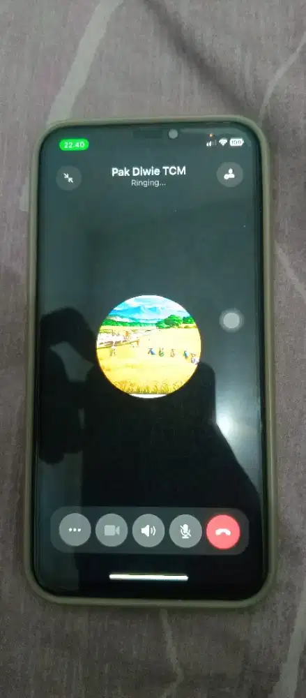 iPhone X 256GB ex.iBox