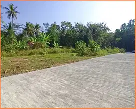 Panjatan, Tanah Jogja Dekat Bandara YIA