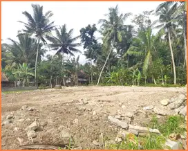Dijual Tanah Kulon Progo Dekat Pasar Pripih