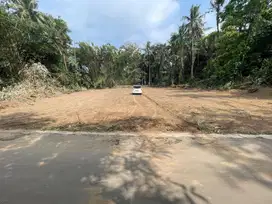 Tepi Jalan Aspal, Tanah Murah Seratus Juta-an