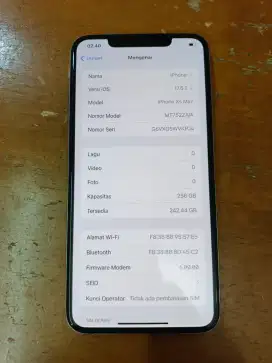 iPhone xs max 256gb mulus