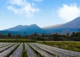 Tanah Strategis daerah Wisata Cipanas Garut 3,7 Ha