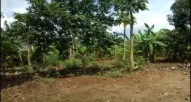 DIJUAL CEPAT TANAH
