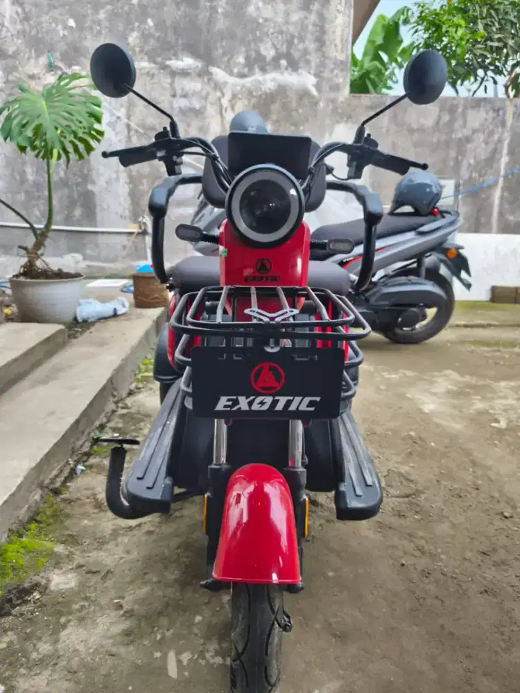 Exotic Sierra Sepeda Listrik roda 3