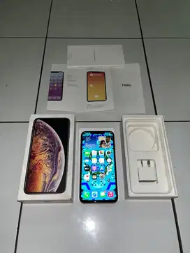 Iphone Xs Max 256Gb All operator