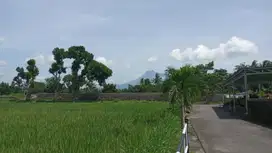 190 juta Tanah Murah Dekat Berbah Sleman
