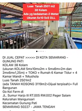 Dijual KOLAM KOI
