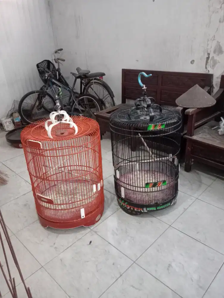 Jual sangkar murai UK 55