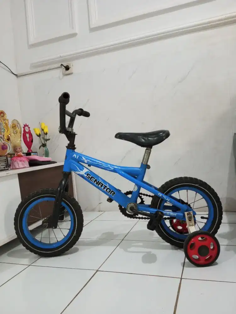 Sepedah anak ukuran 12