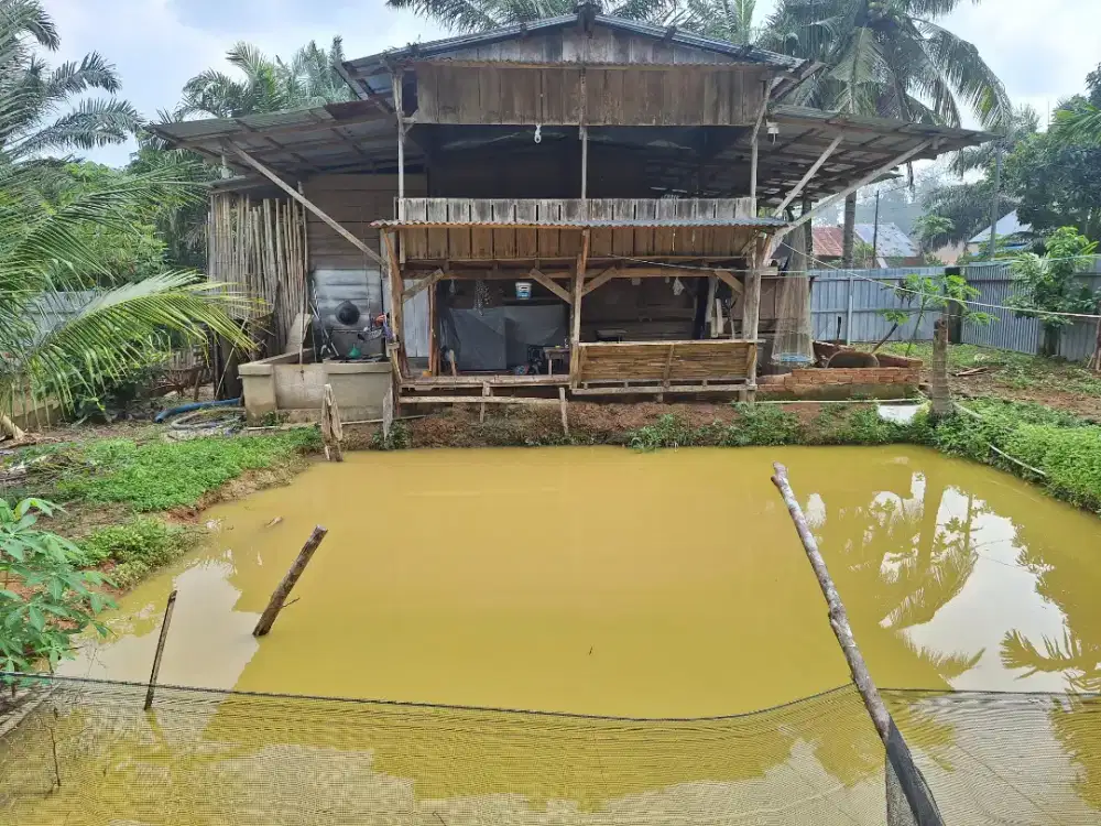 Jual Kolam Ikan
