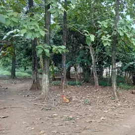 Jual Tanah Murah