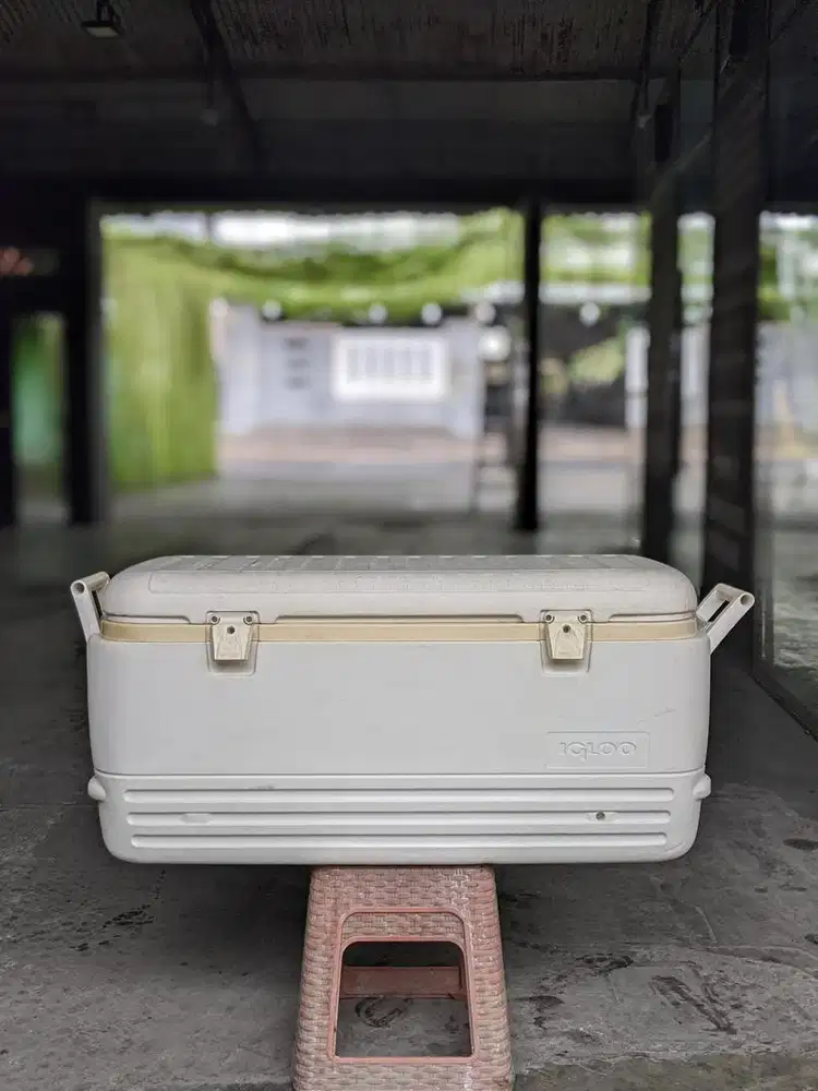 Box coolers Box ikan merk igloo USA