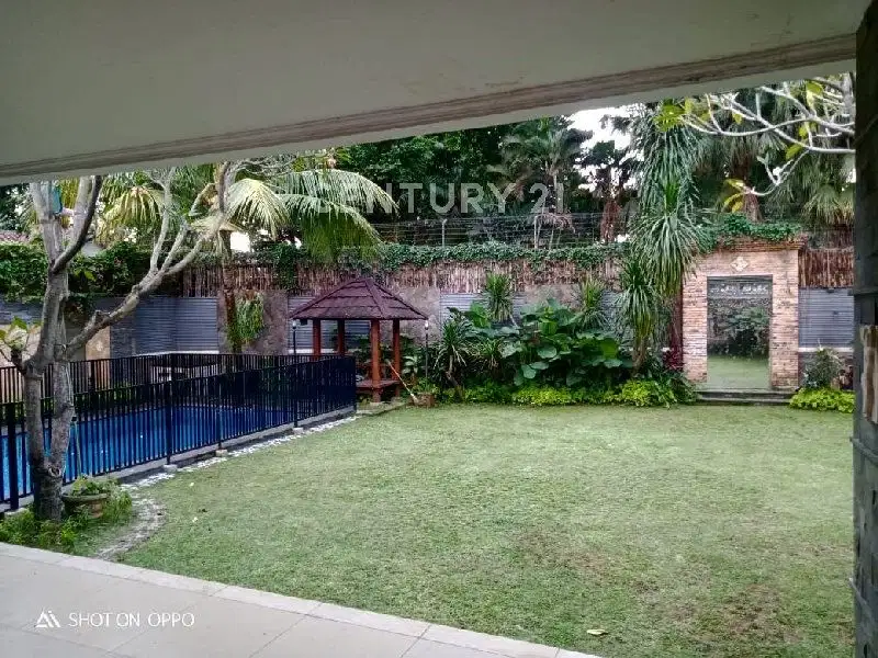 Rumah Asri Halaman Luas & Private Pool Cilandak Jakarta Selatan