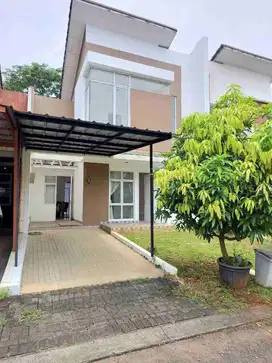 Cosmo The Icon BSD