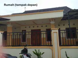 Disewakan rumah asri dengan lingkungan yang aman dan nyaman.