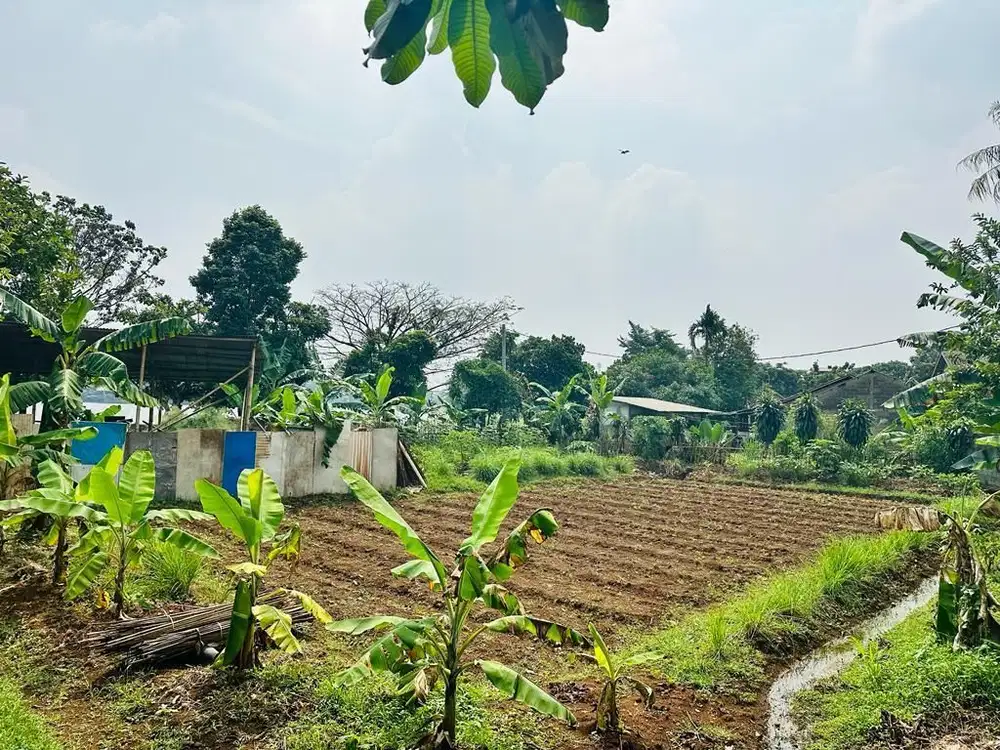 Dijual Tanah dg pemandangan  setu cilodong Depok