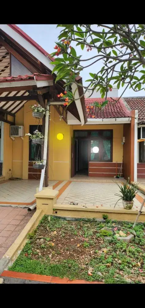 Disewa Segera Rumah Sutera Jelita, Alam Sutera