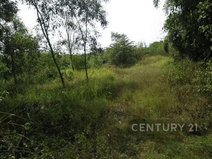 Tanah Industri Dan Komersial SHM Di Jl Cikarang Cibarusah, Cikarang