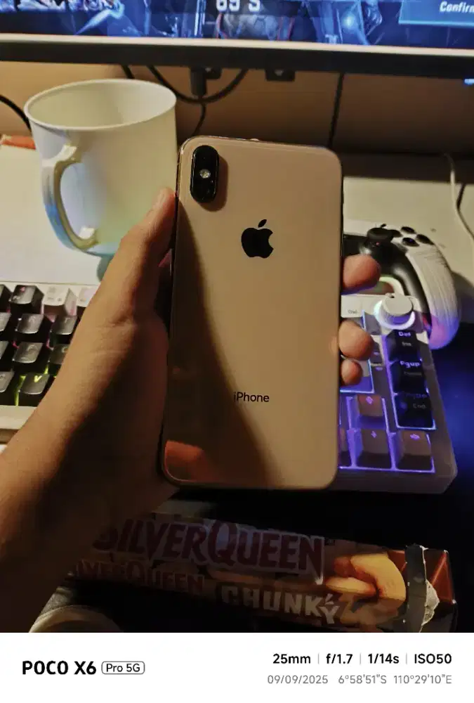iPhone Xs 256GB