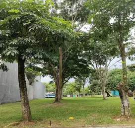 Kavling dijual di cluster Inika Island BSD Tangerang