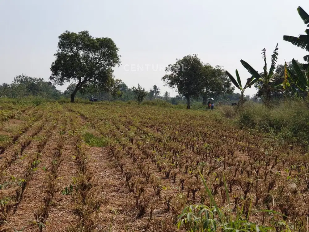 Lahan Tanah Luas Strategis Dikawasan Parung S8196