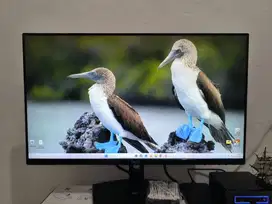 Monitor IPS Dell 24 inch Fullset