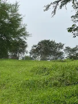 Dijual Tanah Atau Kavling Cluster Taman Simpruk Lippo Cikarang TTS162EJ