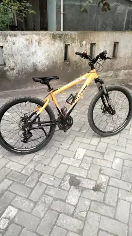 Sepeda Polygon second