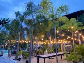 Dijual Tanah Tempat Usaha Di Gunung Sari, Lombok Barat S5274