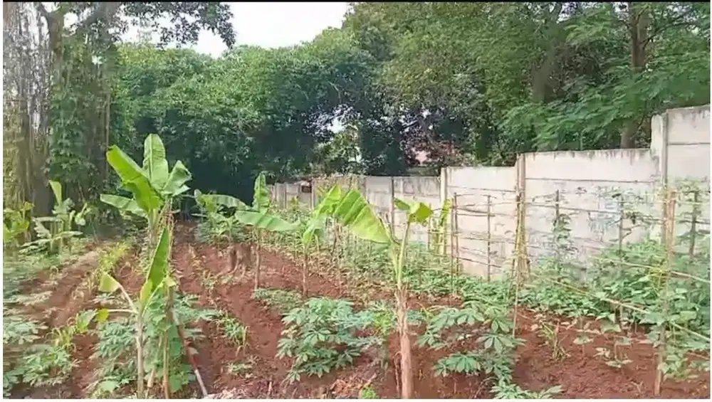 Dijual Tanah Zona Komersial di Lenteng Agung Strategis Jakarta Selatan