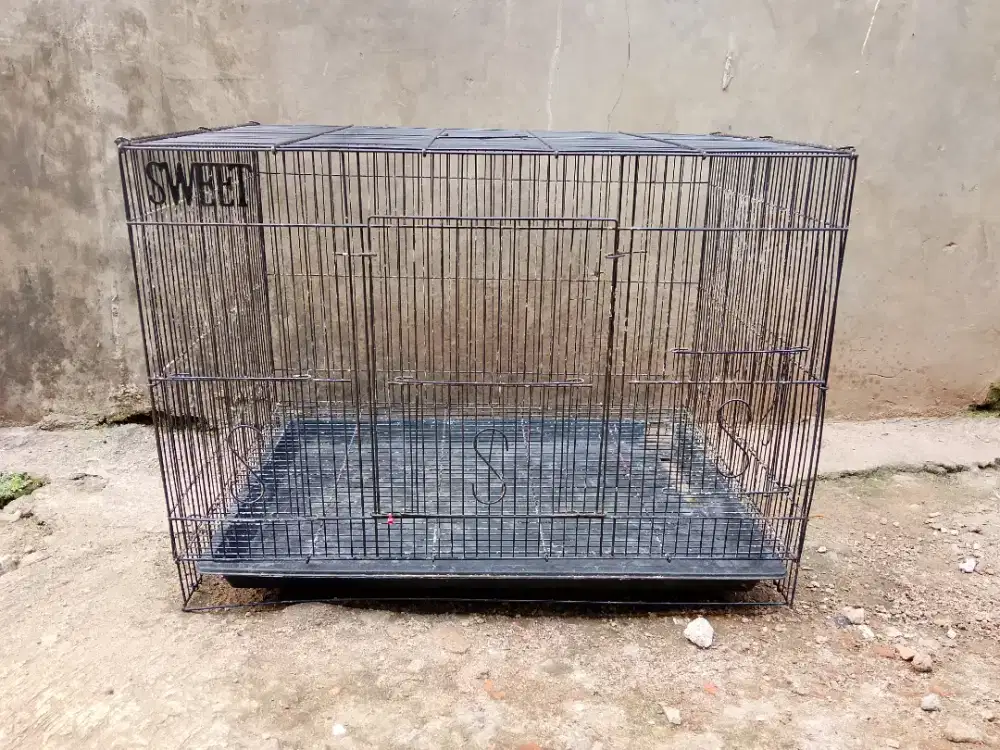 Kandang Kotak Ternak Lovebird/Kucing