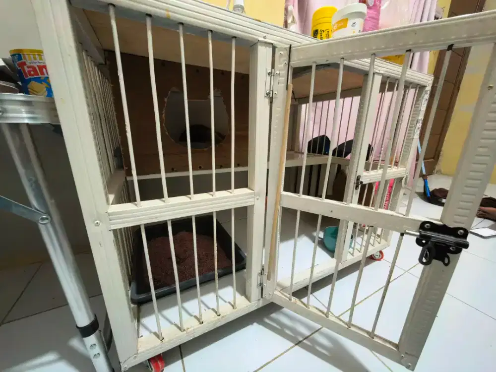 Kandang kucing warna putih