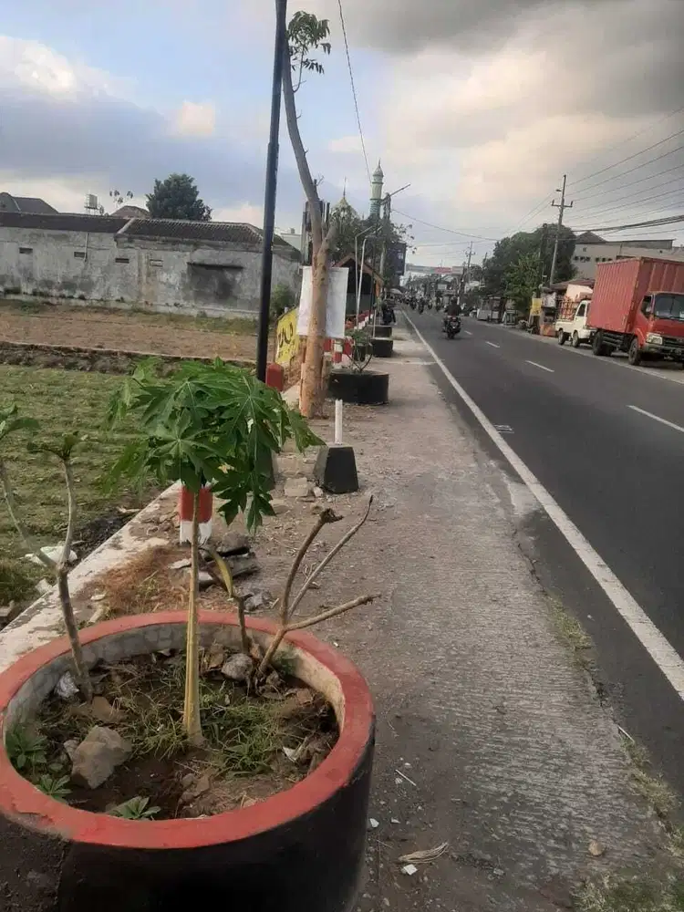 Dijual tanah pekarangan timur bandara Adisucipto Jogja