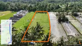 Prime 3.130 sqm of Leasehold Land with Stunning Rice Field Views Ubud
