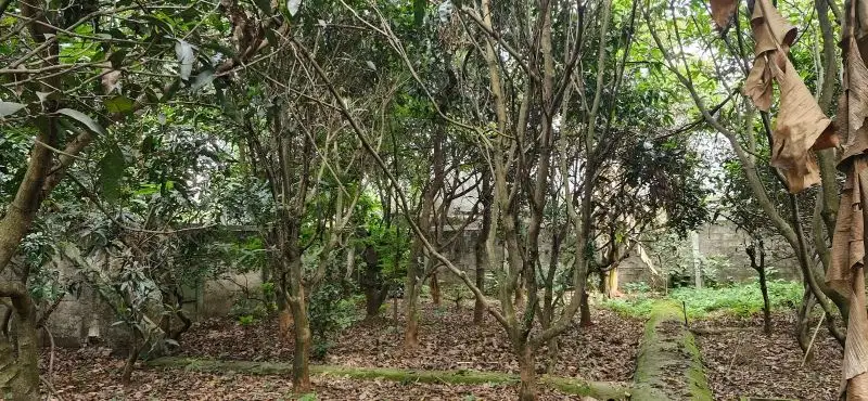 Kavling murah di Bsd Griya Loka murah siqp bangun lokasi strategis