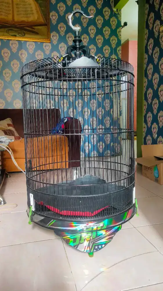 Kandang murai no 2 oriq