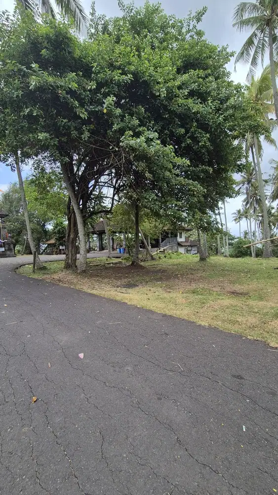 Dijual Tanah Hanya 30 Meter dari Pantai, Berlokasi di Antap, Tabanan