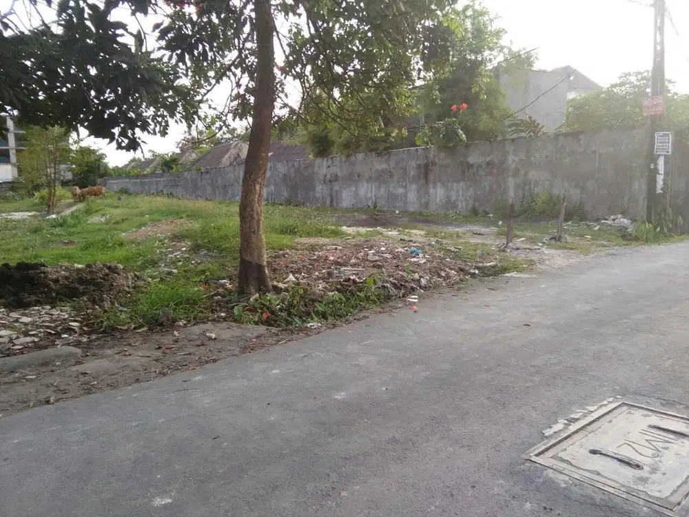 TANAH 24 ARE CENDRAWASIH PETITENGET
