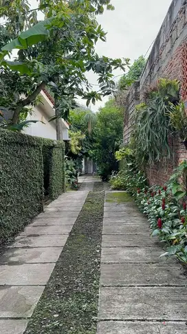 Dijual lahandi daerah Tanjung Barat