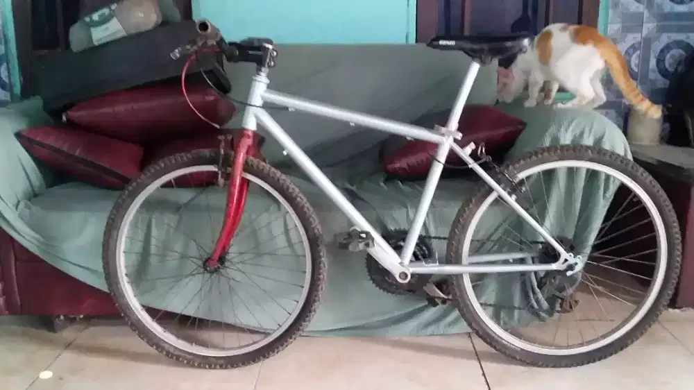 Mtb R 24 single