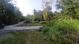 Legalitas SHMP, Jual Tanah Dekat Bandara YIA, Yogyakarta