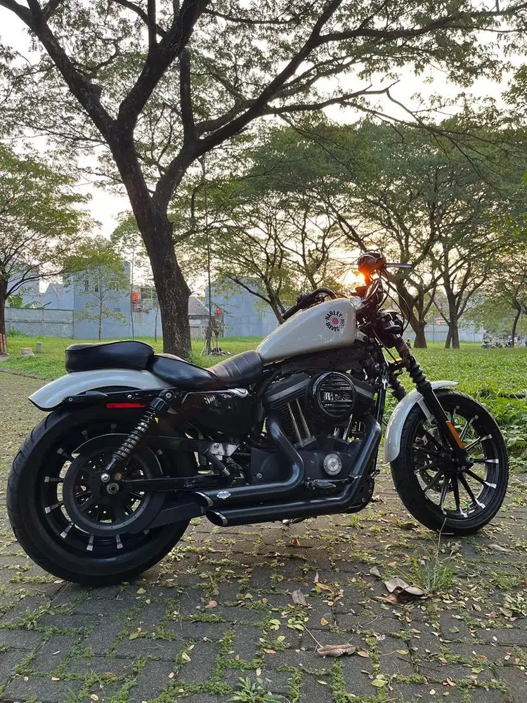 harley davidson sportster 883 2022
