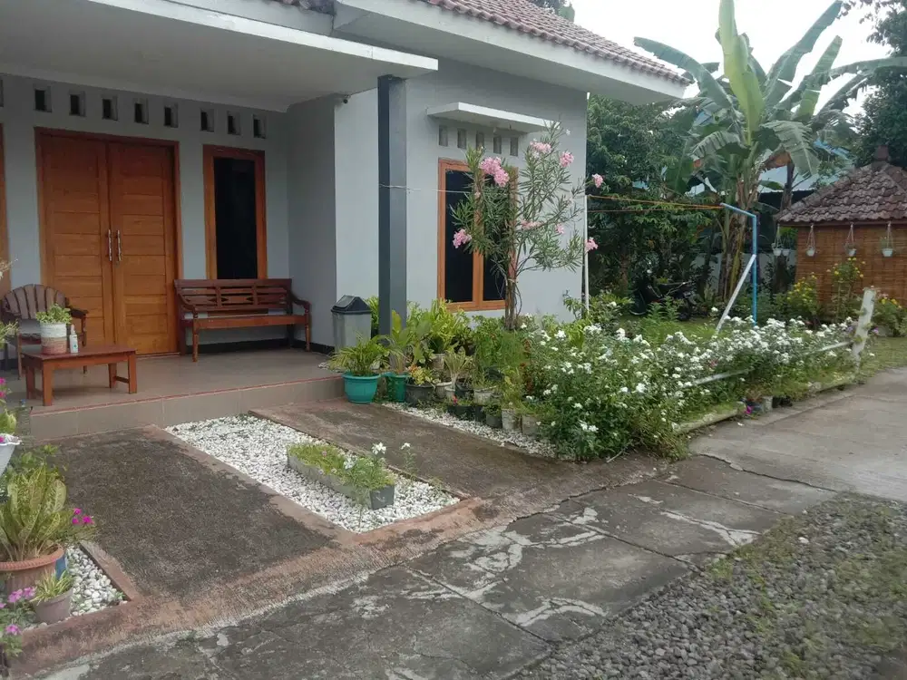 Homestay (Rumah Sewa Harian) hanya 500m ke Umy, Ring Road Selatan