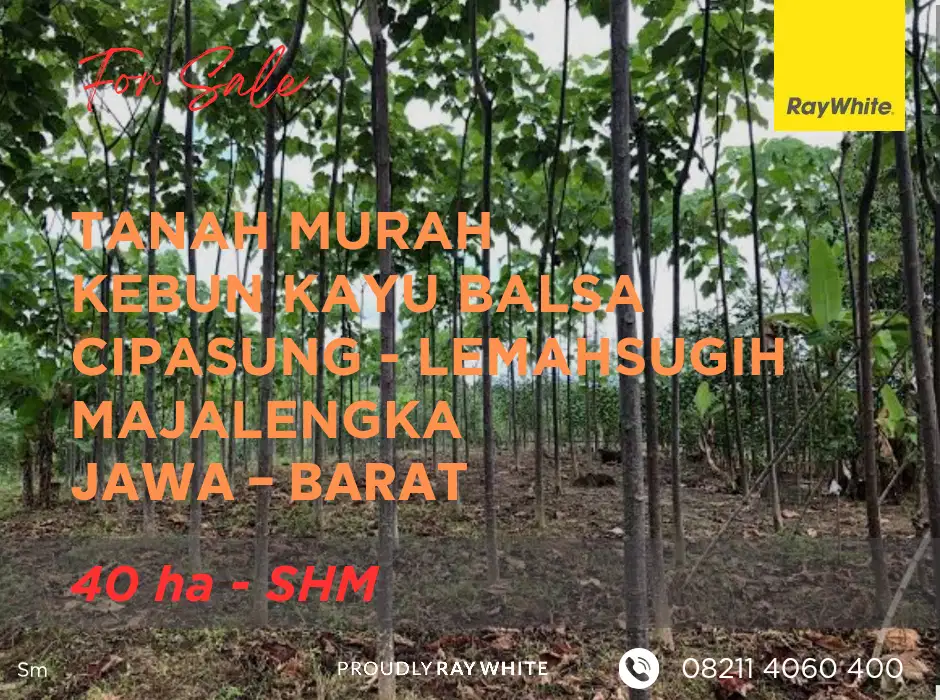 Tanah Kebun Balsa - Majalengka - Murah