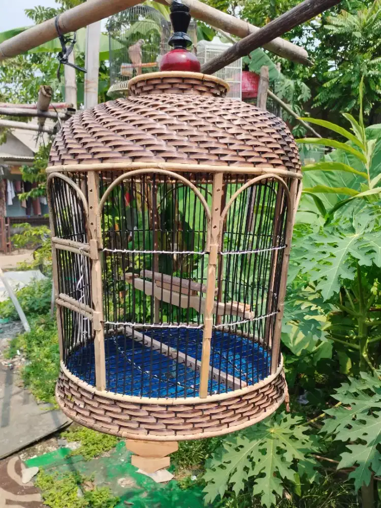 Kandang perkutut