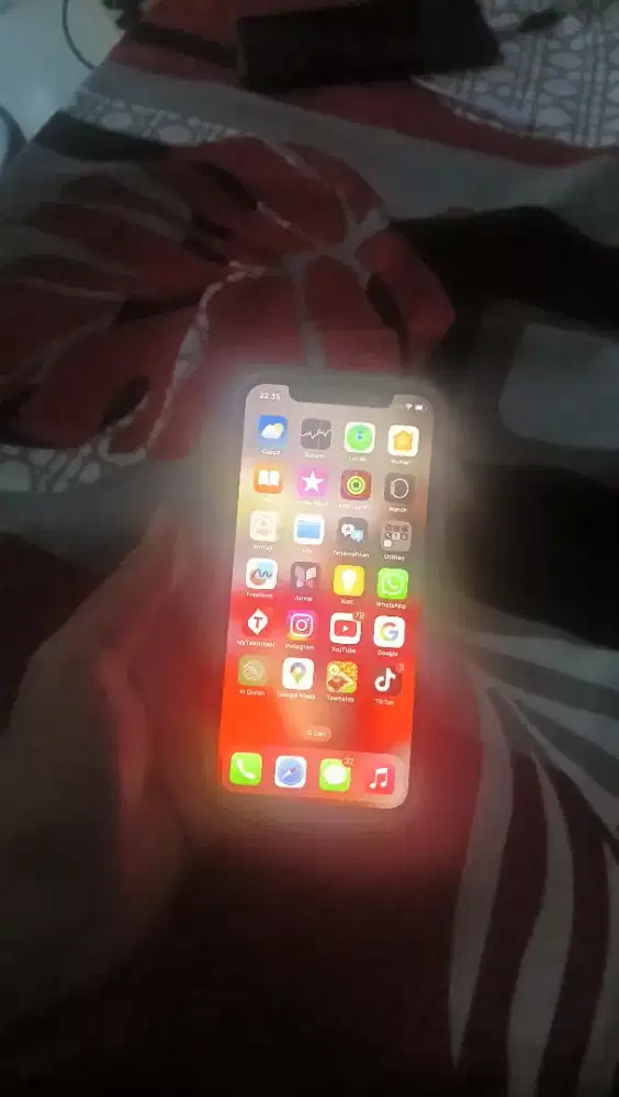 iPhone 11 pro inter